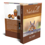 Nutshells: Daily Spiritual Insights