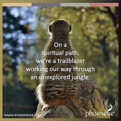 On a spiritual path, we're a trailblazer working our way through an unexplored jungle.