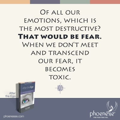 Of all our emotions, which is the most destructive? That would be fear. When we don't meet and transcend our fear, it becomes toxic.