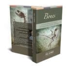Bones: A Building-Block Collection of 19 Fundamental Spiritual Teachings