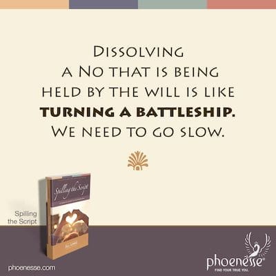 Dissolving a No that is being held by the will is like turning a battleship. We need to go slow.