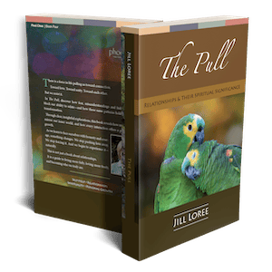The Pull_300_v4